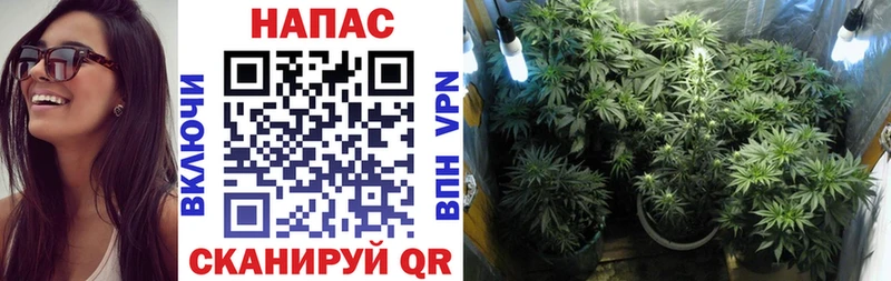 Конопля THC 21%  Горнозаводск 